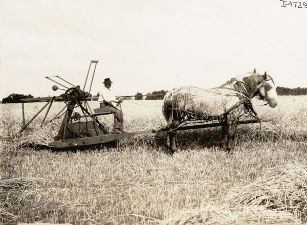 Man operating a McCormick reaper driven by two horses through a field. The reaper was built in 1847.