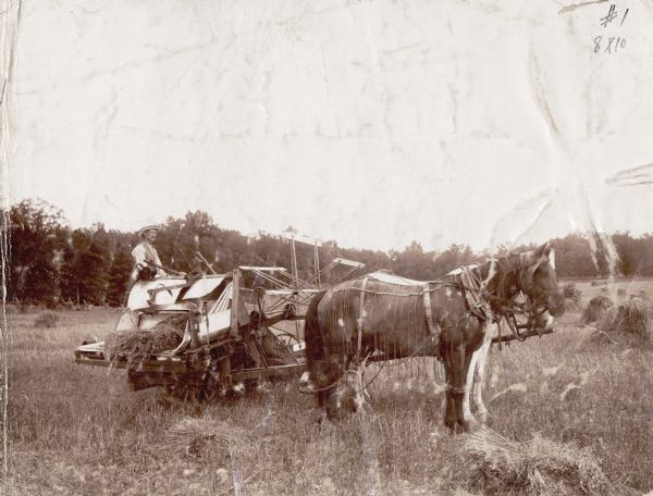 A man is operating a McCormick wire binder driven by two horses.