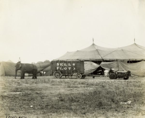 A man uses a McCormick-Deering 10-20 industrial tractor to move a wagon at the Sells Floto circus.  Next to the wagon, a man sits on an elephant, while three boys look on from near a tent in the background.