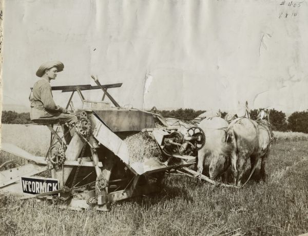 Charles F. Nitz is operating a McCormick grain binder, drawn by three horses through a field. The original caption reads: "The oldest self binder in Cuming County, Neb., is owned by a good old farmer named Charles Nitz. It is of McCormick make and is now working on its seventeenth consecutive harvest. Owing to the good care it has received all these years and to the excellent workmanship in the beginning it is said that it has never cost a cent for repairs. This is a statement hard to believe but it must be taken on faith in this instance. This ancient and honorable curiosity was photographed by William Mathiesen, the well-known West Point, Neb., retailer, the other day and a picture of it now adors (<i>sic</i>) his office."