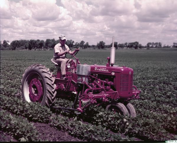 View towards a man using a McCormick Farmall Super C tractor and a C-254 cultivator to work in a soybean field. The original caption reads: "C-254 cultivator with tooling equipment on a Farmall Super C with No.310 fertilizer unit. Used in soybeans."