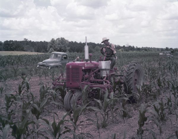 View towards a man on a McCormick Farmall Super C tractor with a C-254 cultivator working in a cornfield. Two trucks are parked in the background.