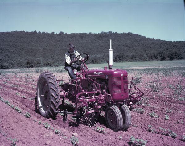 View towards a man using a McCormick Farmall Super C tractor with a C-254 cultivator. The original caption reads: "C-254 two-row cultivator with No.10 tooling equipment and No.10 rotary weeders.  First cultivation in cotton on 160-acre farm owned by T.H. Chandler, Rt.1, Box 157, Huntsville, Ala."