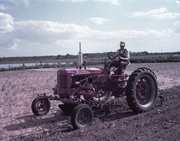 View towards a man using a McCormick Farmall Super C tractor with a C-254 cultivator to work in a field. There is a pond or lake in the background. The original caption reads: "C-254 two-row cultivator on Super C with wide front axle. First cultivation in cotton on 200-acre farm of J.A. Coon, Star Route, Atmore, Ala."