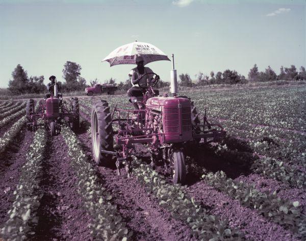 Front view looking towarsd a man under an umbrella using a Farmall Super C tractor outfitted with a C-254 cultivator to work in a field. Another man on a tractor is following him, and a truck is on a road in the background. The umbrella reads, "Delta Implement Co., Service Holds Our Trade, Greenville, Miss."