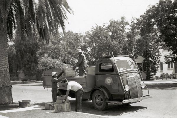 Men load boxes onto an International D-300 truck owned by the City of Santa Ana. The truck was used for garbage removal. One man stands in the bed of the truck, and the other two are lifting boxes from the curb in a residential area.
