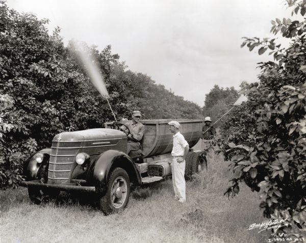 Three men use an International DS-30 truck and sprayers to work in a grove.