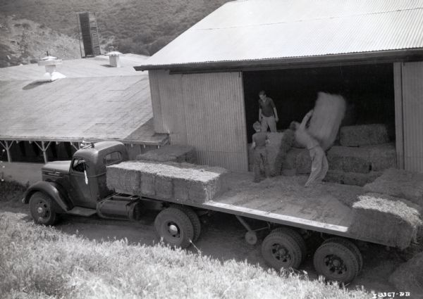 Two men and a boy load bales of hay from the bed of an International DR-70 truck into a barn. The original caption reads: "A DR-70 170-inch wheelbase truck owned by J.H. Clack, San Diego, California. This unit is shown with two trailers hauling 328 bales of hay, making a gross weight of 68,000 pounds. The trailers are interchangeable and convertible from regular six-wheel to semi four-wheel trailers so that one trailer at a time may be loaded in the field. Mr. Clack hauls hay from the Imperial Valley to San Diego."