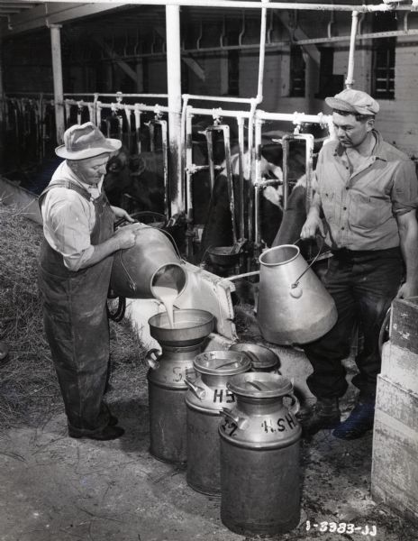 Two men empty buckets of milk into cans in a dairy barn. A row of cows standing in stalls is in the background. The original caption reads: "McD [McCormick-Deering] Milker. Hi grade Guernseys. H. Hoffman farm R.R. #1, Waterloo, Pa."