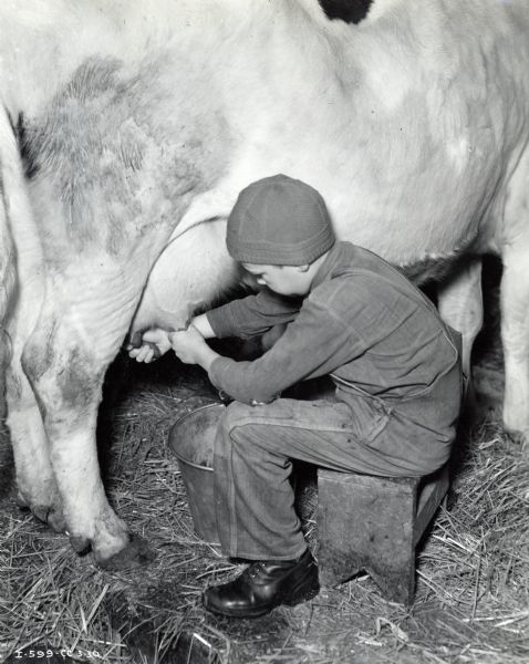 A boy wearing a hat, boots, and overalls sits on a wooden stool to milk a cow by hand. The original caption reads: "Son of Thomas Ridgman, Dousman, Wis."