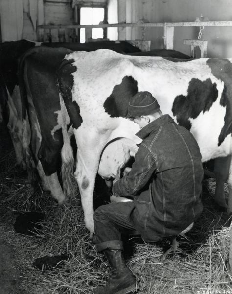 Harvey Schmidt sits on a stool in a barn to milk a cow by hand.