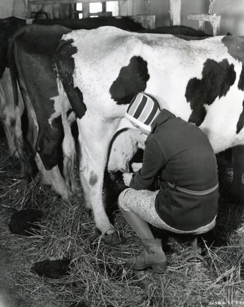 Mrs. Harvey Schmidt sits on a stool in a barn to milk a cow by hand.