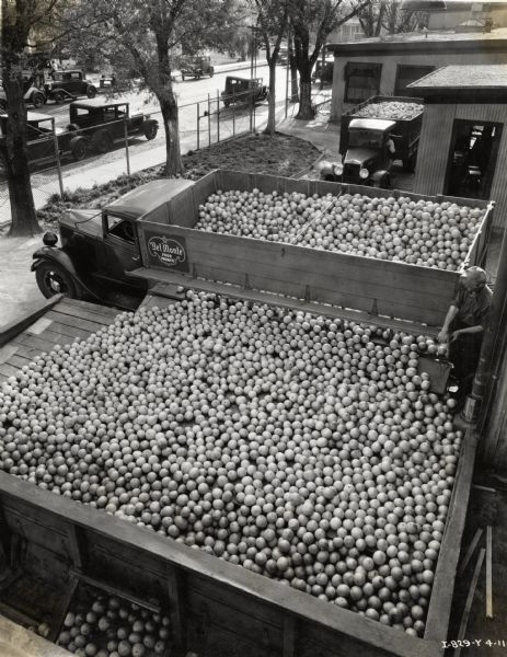 Elevated view of a man opening a door on the side of an International Model C-40 truck to empty grapefruit into an adjacent bin. The truck was owned by California Packing Company and used to haul bulk grapefruit to the company's Tampa plant where the grapefruit was packed.