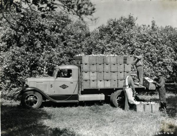 Three men load wooden crates of fruit onto the bed of an International C-20 truck owned by the Citrus City Growers Association.