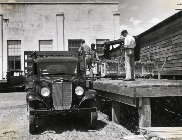 Men stand on a platform to load an International Model C-30 truck with celery at the American Fruit Growers Wash House.