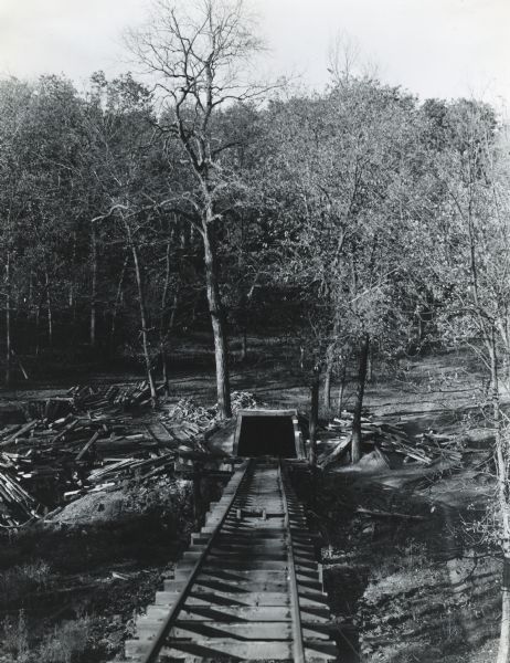 View of a railroad track leading to the opening of a mine shaft. Logs or felled trees are lying on either side of the opening.