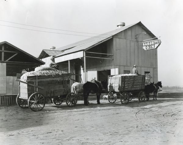 Two men use horse-drawn wagons to haul loads of cotton near a cotton gin powered by an International PD-80 unit. A sign on the barn reads: "Bassett Gin."