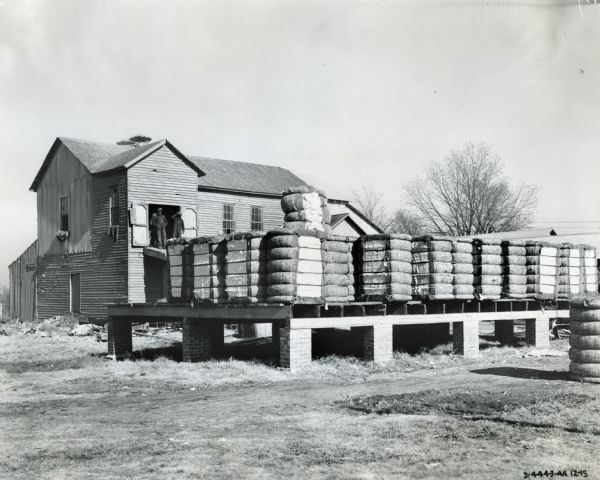 Exterior view of the Wilmot Gin Company. Two men stand on a ramp in the open second-story door of the building. In the foreground is a platform loaded with bales of cotton.