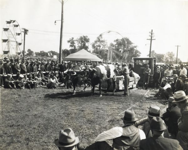A team of oxen pulls a pallet of what appear to be cement blocks on a skid at the Eastern States Exposition, while onlookers gather on either side to watch. An International TracTracTor and amusement rides are in the background.