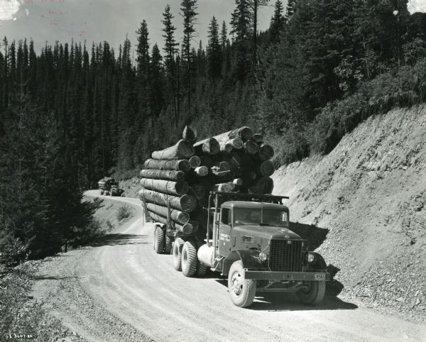 Two International trucks owned by the Ohio Match Company transporting logs down a gravel road in a wooded area near Coeur d'Alene.