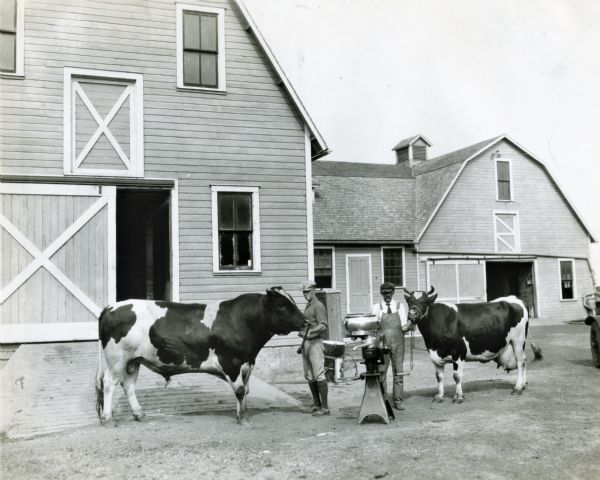 Two men are standing and holding a bull and a cow on the farm of Jerry Bacon. An International Harvester cream separator is between the men, and a barn is behind them.
