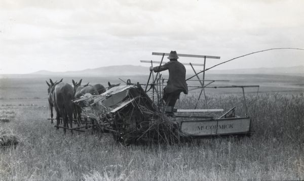Rear view of man using a team of horses and mules to lead a McCormick grain binder through a field in DeLectus, Riebeek West, South Africa. In the far distance are hills.
