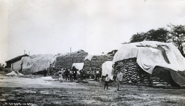 View from distance of men and a young boy standing in front of piles of bags filled with wheat and covered with tarps near a brick building. The photograph was taken in South America.