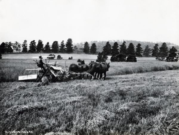 A man uses four horses to pull a Deering grain binder through a field in Australia.