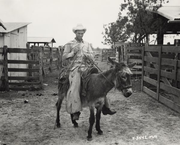 A man wearing a cowboy hat and chaps and holding ropes sits on a small donkey. In the background are sheds and fences.