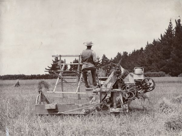 Farmer operating an older model horse-drawn grain binder in a field.