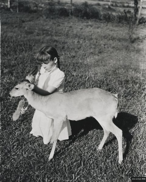 Young girl brushing a fawn on a patch of grassland. Original description reads: "The daughter of Esperanza's ranch foreman gives her pet fawn a Sunday morning cleanup."