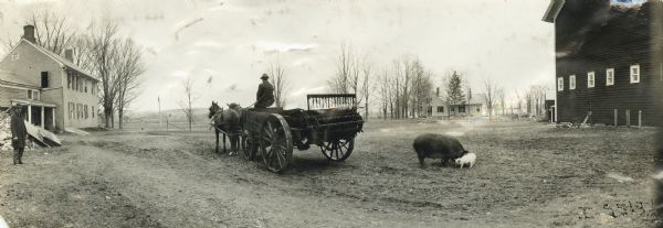 Panoramic view of farmer driving a horse-drawn manure spreader (possibly a Kemp) near a farmhouse and a barn. A man is standing on the left. On the right is a hog with a piglet.