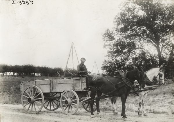Man driving a horse-drawn wagon through a rural area.