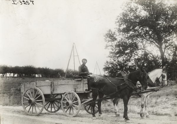 Man On Horse-drawn Wagon 