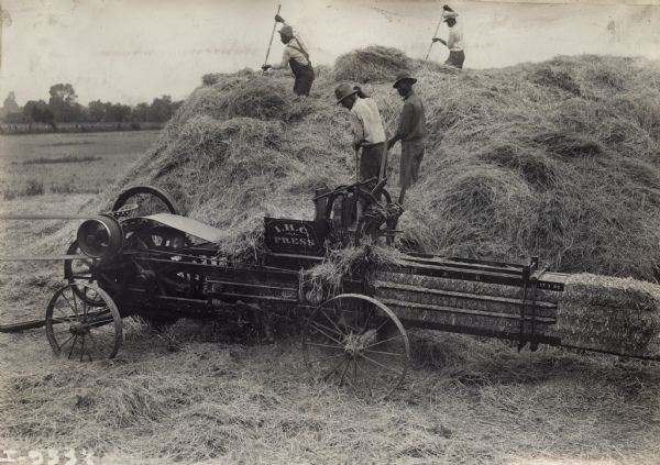 Men bale hay using an IHC hay press or baling press.