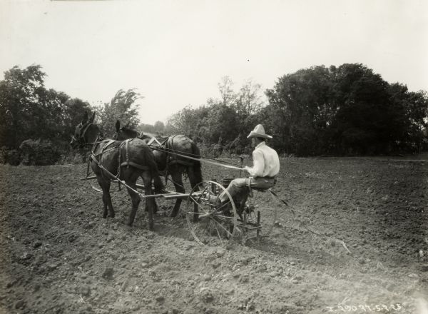 Man seated on a horse-drawn International Harvester P&O cultivator in a field.