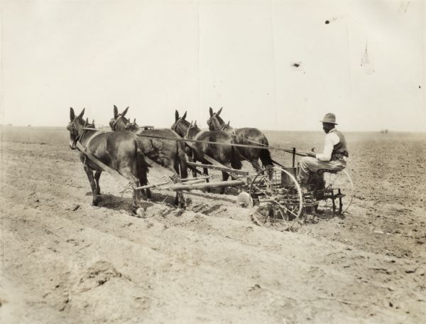 African-American man seated on a P&O planter pulled by four work horses or mules in large field.