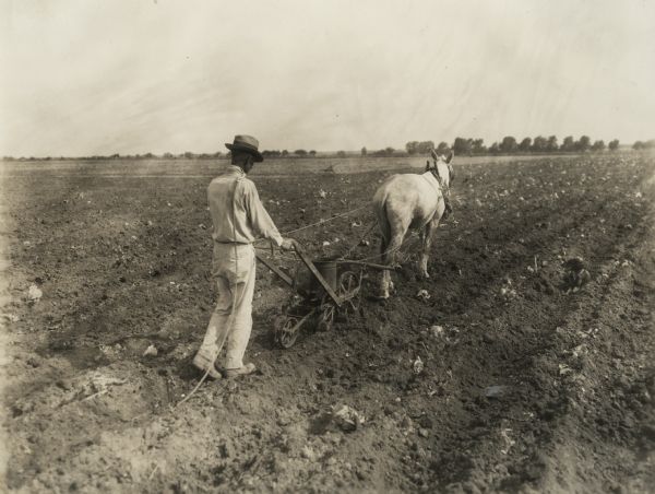 Man with horse-drawn walking planter in a field. A small dog sits in a furrow nearby on the right.