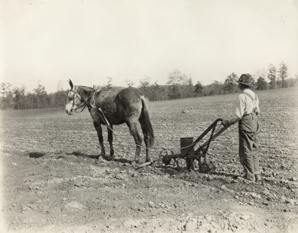 A man is using a walking planter pulled by a work horse or mule through a field.