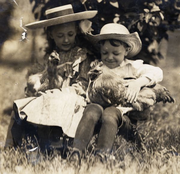 A girl and a boy wearing wide-brimmed hats sitting outdoors in the grass while holding a prize-winning hen and cockerel on their laps.