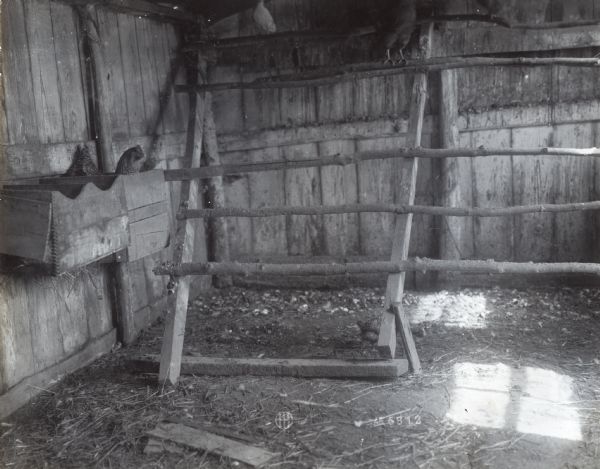 Interior view of a chicken coop used to represent poor roost structure and uncleanliness.