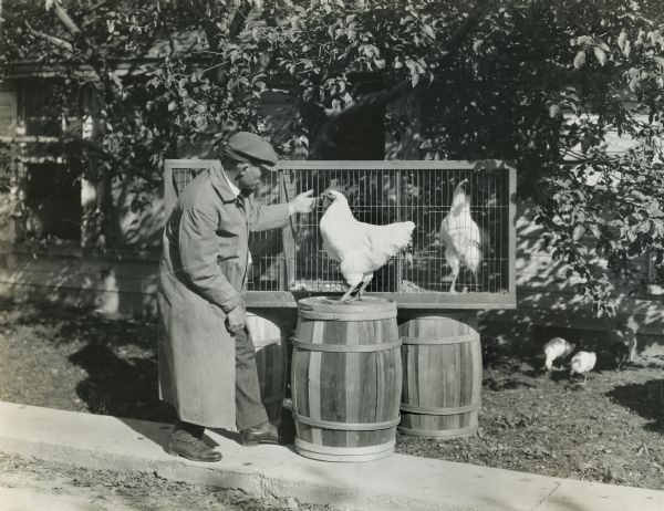U.R. Fishel standing near a cage set up on wooden barrels. He is showing two of his prize-winning Plymouth Rock chickens.