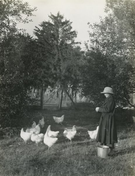 Mrs. Edward B. Fishel standing outdoors to feed chickens from a metal pail.