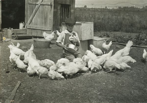 Clifford Anderson sits in a barnyard among his flock of white Leghorn chickens.