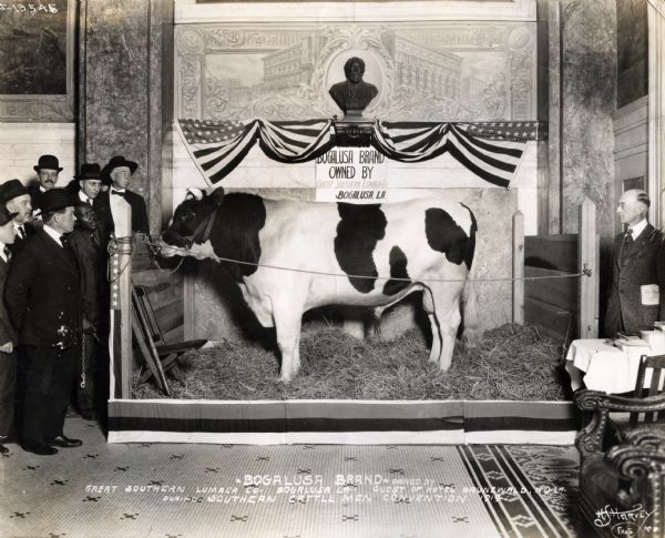 A group of men stand near a bull in a hallway of Hotel Grunewald during the Southern Cattlemen Convention. A sign reading: "Bogalusa Brand Owned by Great Southern Lumber Company, Bogalusa, LA." is hanging on the wall behind the bull, alongside two American flags and a sculpted bust. The bust is probably a rendering of the father of the owner of the hotel, who is Theodore Grunewald.