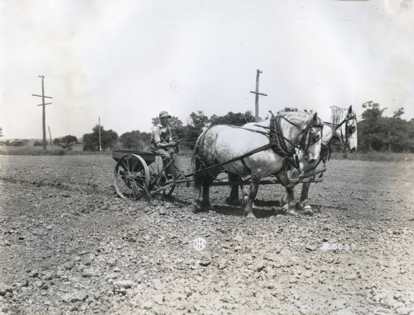 A man wearing a wide-brimmed hat and overalls is sitting behind a team of two horses while planting potatoes at the International Harvester Company experimental farm.