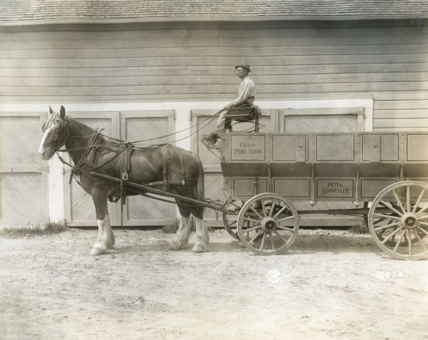 Side view of a man sitting on a one-horse wagon used by Four Pine Farm. The side of the wagon reads: "Peter Schuttler."