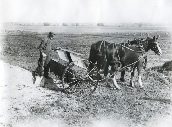 A man holding a shovel is opening the lid of a lime sower pulled by two horses. He is standing next to a lime pile in a field, and what appear to be haystacks or bundled grain is in the background.