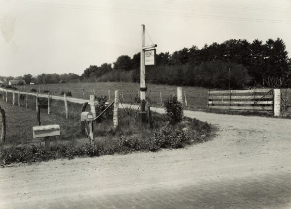 View from road of front entrance of the Speedwell Farm. Original caption reads: "Desirable farm entrance -- neat and reasonably constructed. Also showing the farm specialty - Hereford cattle. On Dixie Hwy just south of Rossville, Illinois."