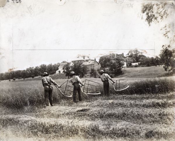 Rear view of three men wearing hats, and pants with suspenders, using grain cradles to harvest a field crop. Multiple buildings, including a barn, are on a hill in the background. The scene may be a staged reenactment of early harvesting methods.